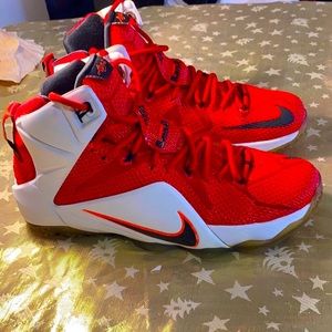 Nike Lebron 12 Heart of a Lion size 9